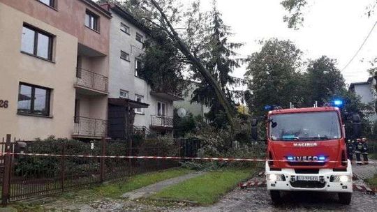 Orkan Ksawery w Lubelskiem: 45 tys. ludzi bez prądu, 270 interwencji strażaków. Trwa naprawianie szkód [zdjęcia]