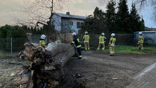 Orkan Pia szaleje nad Polską. Silny wiatr postawił na nogi strażaków 