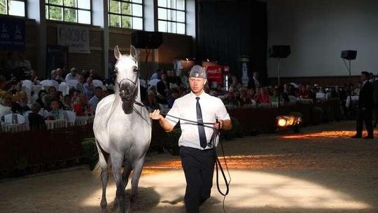 Orlen i PKO BP sponsorami aukcji Pride of Poland w Janowie Podlaskim