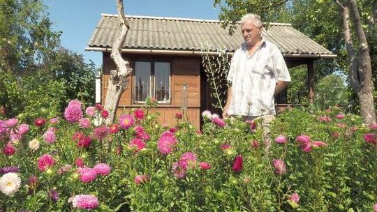 Osobiste miejsce w mieście. Rodzinne ogrody działkowe (zdjęcia)