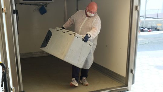 Osocze ozdrowieńców przyjechało dziś do Lublina. Ale do produkcji leku na Covid-19 potrzeba więcej