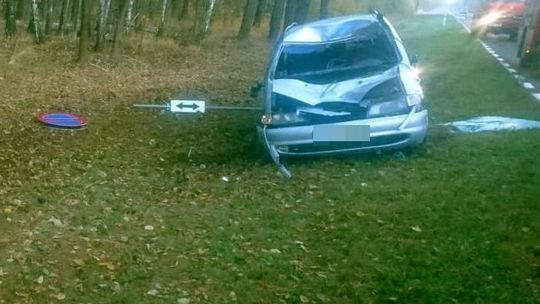 Osowo: Samochód zderzył się z łosiem, który nagle wybiegł na drogę