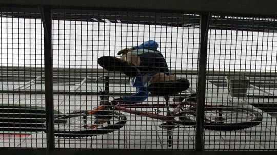 Ostatni dzień głosowania w konkursie rowerowym Dziennika Wschodniego