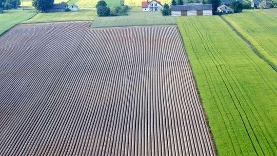 Ostatni dzwonek by złożyć wniosek o dopłaty dla rolników