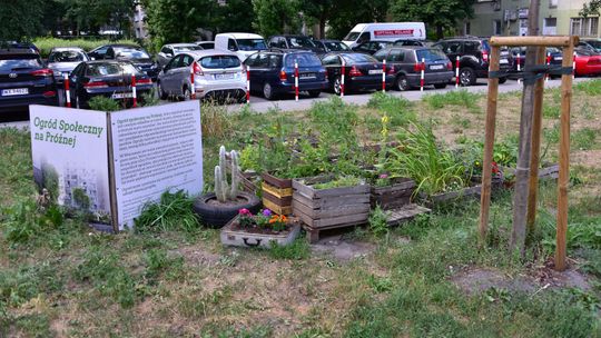 Ostatnia chwila na zgłoszenie swojego pomysłu ws. ogrodów społecznych