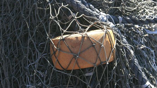 Ostrów (gm. Michów): Przyłapani na łapaniu ryb