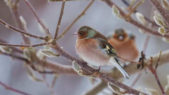 Ostrzeżenie IMGW dla lubelskiego. To będzie trudna noc