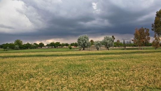 Ostrzeżenie IMiGW: Popołudnie może być burzowe. Spadnie grad