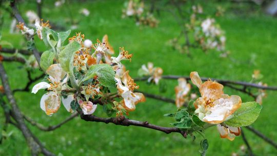 Ostrzeżenie pogodowe IMGW. Prognoza na niedzielę