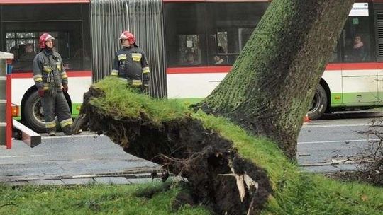 Ostrzeżenie przed silnym wiatrem. Prędkość w porywach do 90 km/h