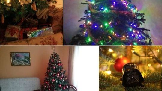 Oto Wasze choinki i ozdoby świąteczne! [zdjęcia]