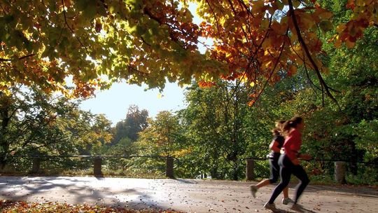 Otwarcie drogi w biegu