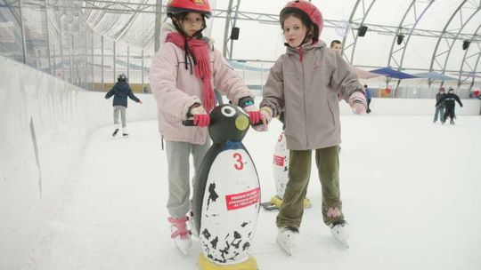 Otwierają lodowisko Icemania. Dziś jeździmy za darmo