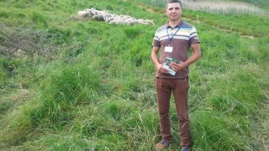 Owce w dolinie Bugu. To także atrakcja dla turystów. "Robią sobie z nimi zdjęcia"