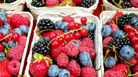 Owoce i warzywa dla wszystkich chętnych. Rolnicy i sadownicy zapraszają na zbiory