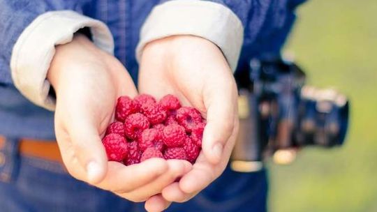 Owoce i warzywa w każdej podstawówce