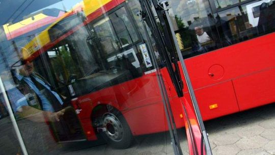 Owocobranie. Specjalna linia autobusowa zawiezie do Elizówki