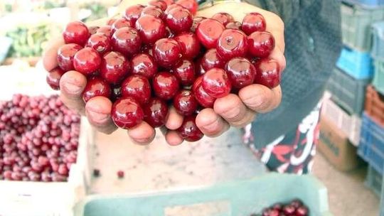 Owocowe smaki. Przepisy na zupy owocowe, pierogi z jagodami i inne dania