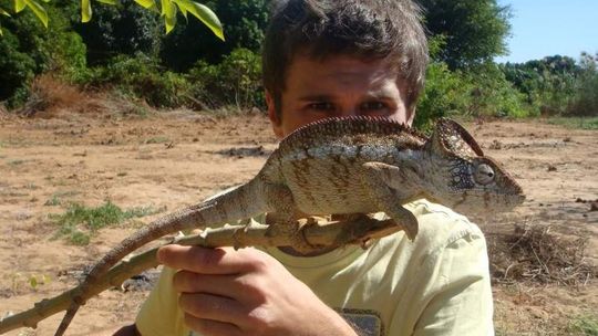 Owsiany i Madagaskar w Radzyniu Podlaskim