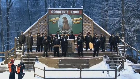 Padł najsławniejszy świstak na świecie. Duża impreza odwołana