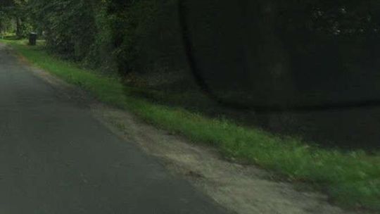 Padłe zwierzę od kilku dni leży przy drodze. Mieszkańcy czekają na uprzątnięcie