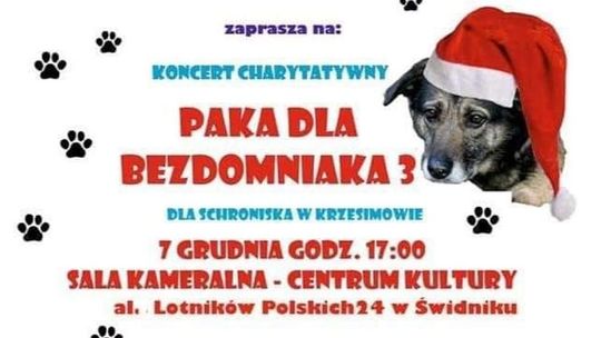 "Paka dla bezdomniaka". Koncert charytatywny na rzecz psów ze schorniska w Krzesimowie
