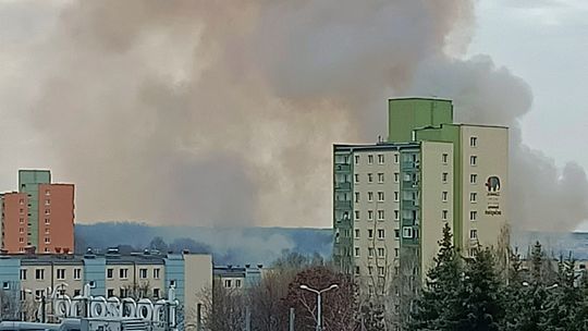 Palą się trawy za lubelskim osiedlem Widok