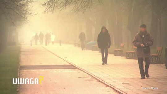 Palą śmieci, usuwają filtry. Skąd bierze się problem smogu?