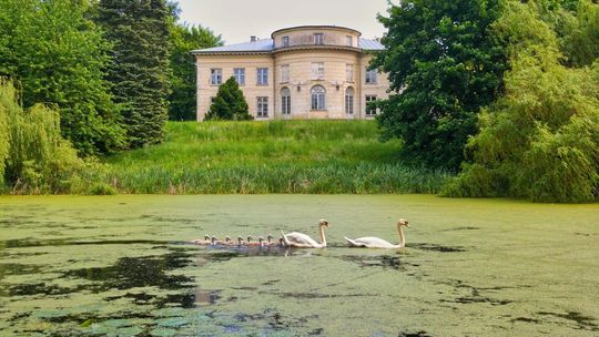 Pałac Marynki może otrzymać drugie życie. Tym razem muzealne 