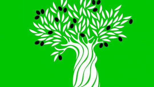 Palestyna od kuchni w Kawce