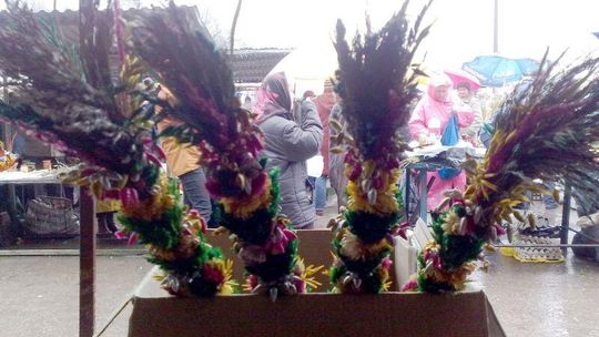 Palmę sprzedam czyli trzy dni na targowisku