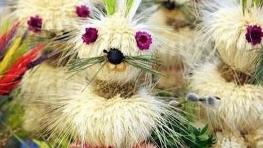 Palmy na szczęście