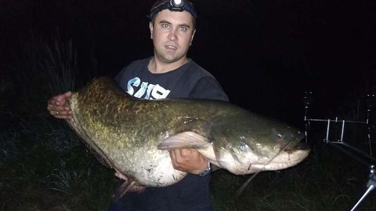 Pan Marek złowił 40-kilogramowego suma. "Radość i duże zaskoczenie"