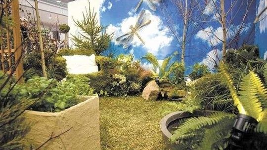 Pani Anna zrobiła ogród jak marzenie. Drugie miejsce w konkursie