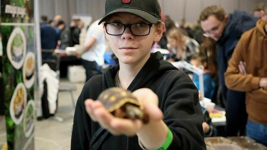 Pani Monika kupiła gekona. Pan Adam ma wymarzonego pająka