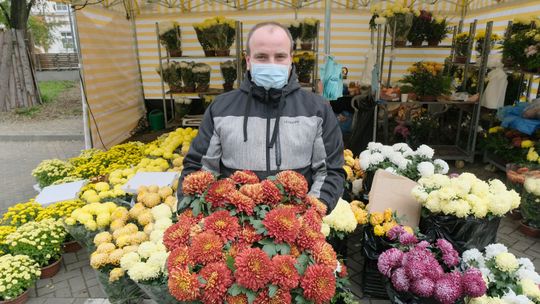 Państwo jednak odkupi chryzantemy od kupców spod cmentarzy. Stawki, warunki, terminy
