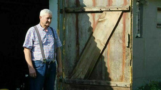 Państwo wybiło 1200 gęsi. Pieniędzy nie dało. Rolnik z lubelskiego walczy w sądzie