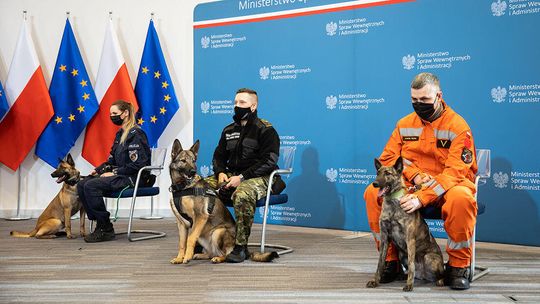 Państwo zajmie się mundurowymi emerytami na czterech łapach