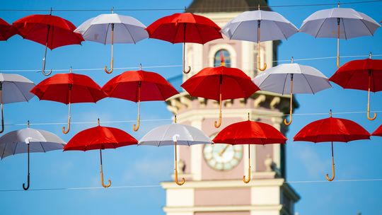 Parasolki nad Zamościem. Miasto już myśli o 11 listopada [zdjęcia]