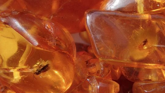 Parczew: Bursztynowe miasto