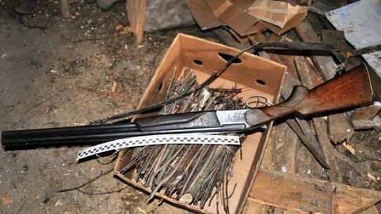 Parczew: Kłusownik trzymał w domu żywego dzika