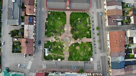 Parczew: Rewitalizacja czyli wycinka totalna. Konserwator: Za 15 lat urosną nowe drzewa