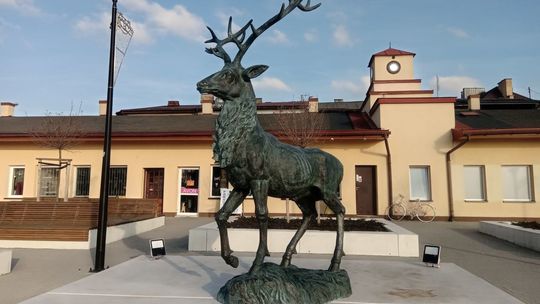 Parczew: Sesje rady bardziej eksponowane? Radny się dopomina 