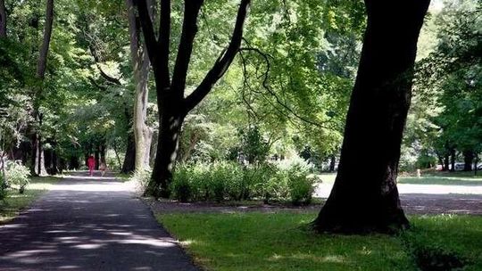 Park Bronowicki ma szansę na rewitalizację