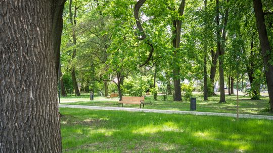 Odnowiony Park Bronowicki w Lublinie po zakończonej rewaloryzacji. W parku powstały nowe alejki, nasadzenia zieleni oraz miejsca do wypoczynku dla mieszkańców.