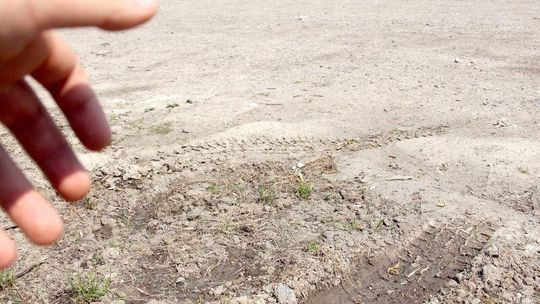 Park Ludowy: Nie będzie kar za rozjeżdżanie trawników