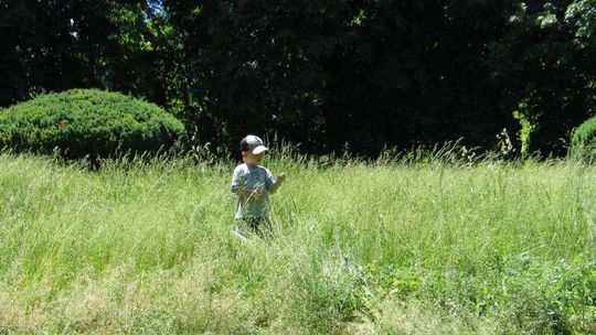 Park Miejski w Zamościu zarasta, bo czeka na wielki remont