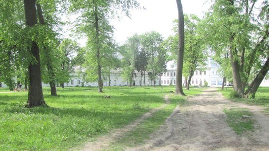 Park Radziwiłłów: Będzie labirynt z żywopłotu i fontanna