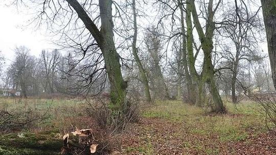 Park w Łęcznej zakwitnie po włosku. To będzie całkowita metamorfoza