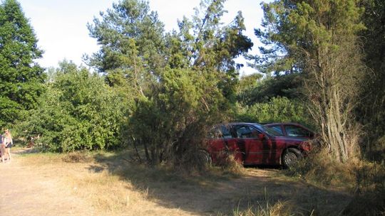 Parkowanie nad jeziorem Białym: Gościu, płacz, ale płać